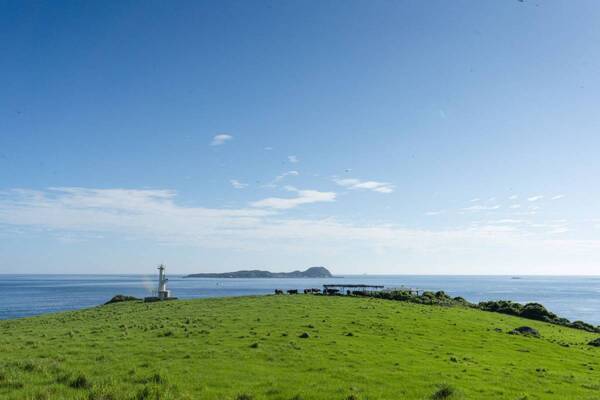 「秘密の絶景がすごい！」佐賀・加部島ドライブで心も体もリフレッシュ【九州ママ通信Vol.16】