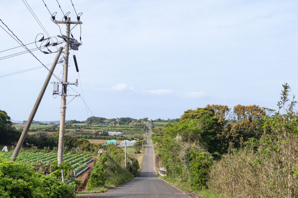 「秘密の絶景がすごい！」佐賀・加部島ドライブで心も体もリフレッシュ【九州ママ通信Vol.16】