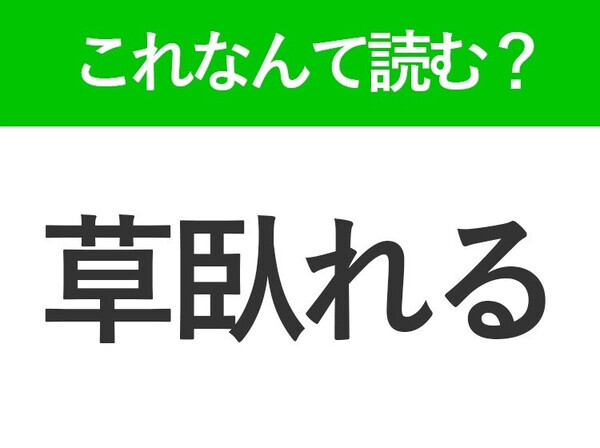 【山毛欅】はなんて読む？背が高い植物の名前