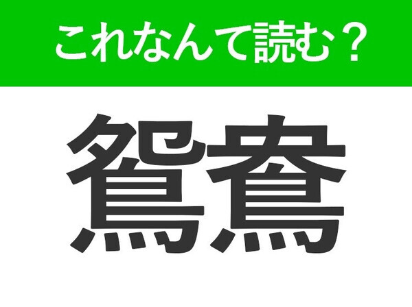 【鴛鴦】はなんて読む？答えは男女の様子を表す鳥の名前です！