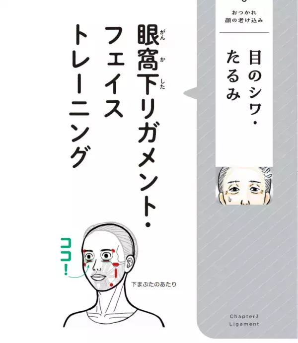 年齢が出る…「目の周りのシワ、たるみ改善に！」カンタンにできる“押し活”を紹介、シワができる原因から徹底解説【ピンポイントで整う！じんわり押し活】