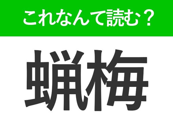 【蝋梅】はなんて読む？黄色い小花が可愛いお花の名前です！