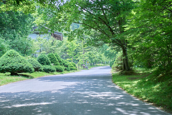 「まるで青森のテーマパーク！」【青森屋 by 星野リゾート】で楽しむ、ファミリー旅