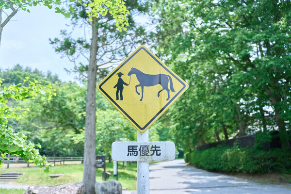 「まるで青森のテーマパーク！」【青森屋 by 星野リゾート】で楽しむ、ファミリー旅