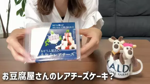 「売り切れる前に急いで買って！」【カルディ】ひんやりスイーツで暑さを吹き飛ばそう！