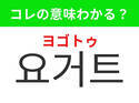 【韓国グルメ編】韓国女子に人気の食べ物！「요거트（ヨゴトゥ）」の意味は？