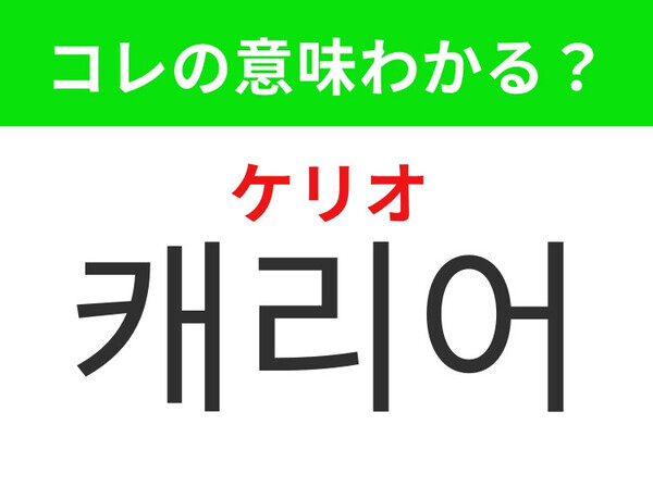 【韓国生活編】旅行や出張時の荷物を入れるもの！「캐리어（ケリオ）」の意味は？