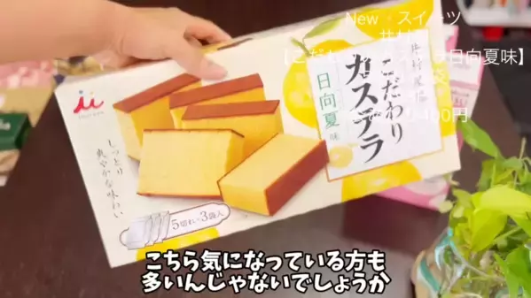 「忙しいママの救世主！」夏休みに役立つコストコおすすめ食品【2025最新】