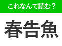 【春告魚】はなんて読む？漢字の通り春が旬の魚です！
