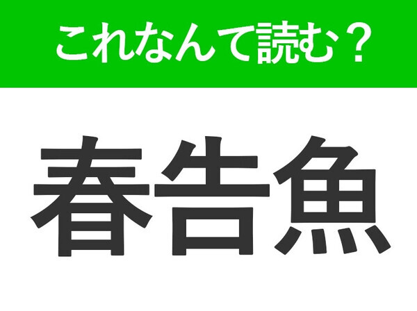 【春告魚】はなんて読む？漢字の通り春が旬の魚です！