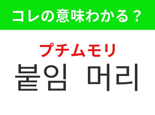 【韓国美容編】髪の印象を簡単にチェンジ！「붙임 머리（プチムモリ）」の意味は？