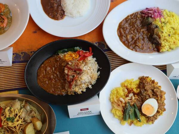 「買うならコレでしょ！」【成城石井初】のカレーフェア売れ筋トップ5
