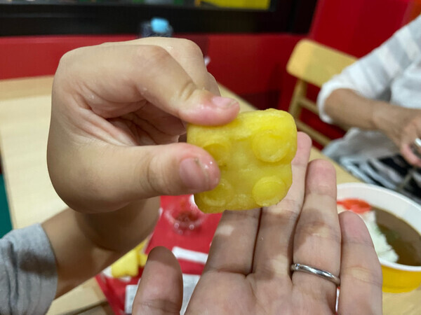 「家族や友達を無料招待できちゃう！？」【レゴランドディスカバリーセンター】の年パスはすごいお得！