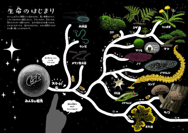 「夏休み後半、自由研究にも大活躍！」年少さんから大人まで幅広く楽しめる【体験型化学絵本】とは！？