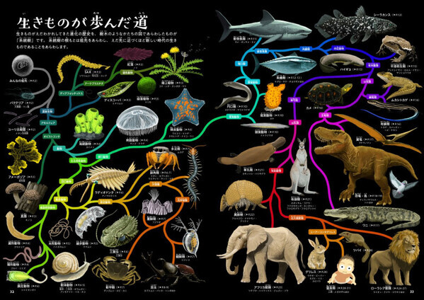 「夏休み後半、自由研究にも大活躍！」年少さんから大人まで幅広く楽しめる【体験型化学絵本】とは！？