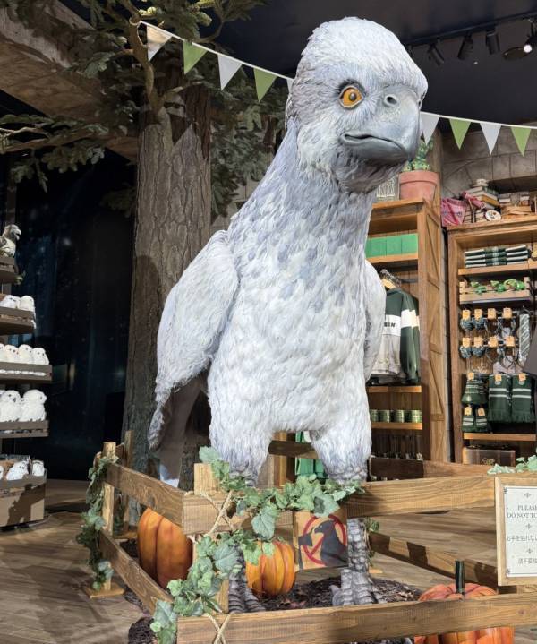 timeleszの松島聡さんも大注目！原宿の新名所『ハリー・ポッター ショップ 原宿』がついにオープン！