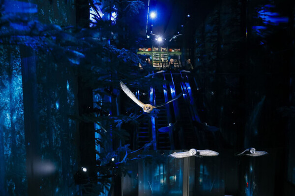 timeleszの松島聡さんも大注目！原宿の新名所『ハリー・ポッター ショップ 原宿』がついにオープン！