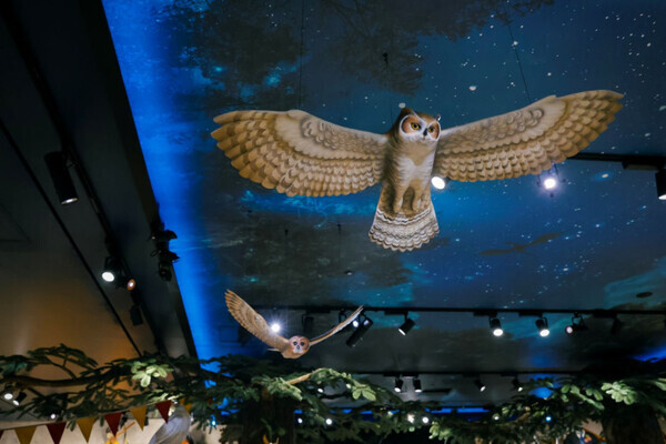 timeleszの松島聡さんも大注目！原宿の新名所『ハリー・ポッター ショップ 原宿』がついにオープン！