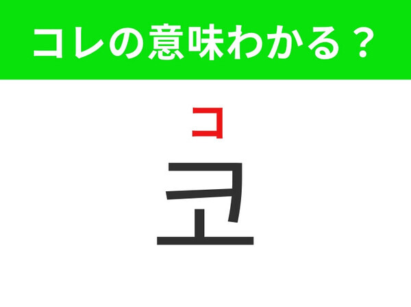 【韓国美容編】顔の真ん中にあるもの！「코（コ）」の意味は？