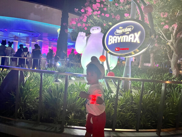 「楽しみ方はいろいろ！」夏のディズニーランド♡オススメの夜景映えスポットを紹介！