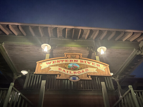 「楽しみ方はいろいろ！」夏のディズニーランド♡オススメの夜景映えスポットを紹介！