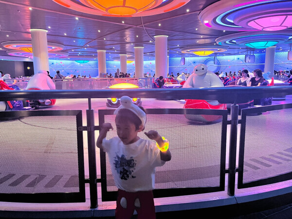 「楽しみ方はいろいろ！」夏のディズニーランド♡オススメの夜景映えスポットを紹介！