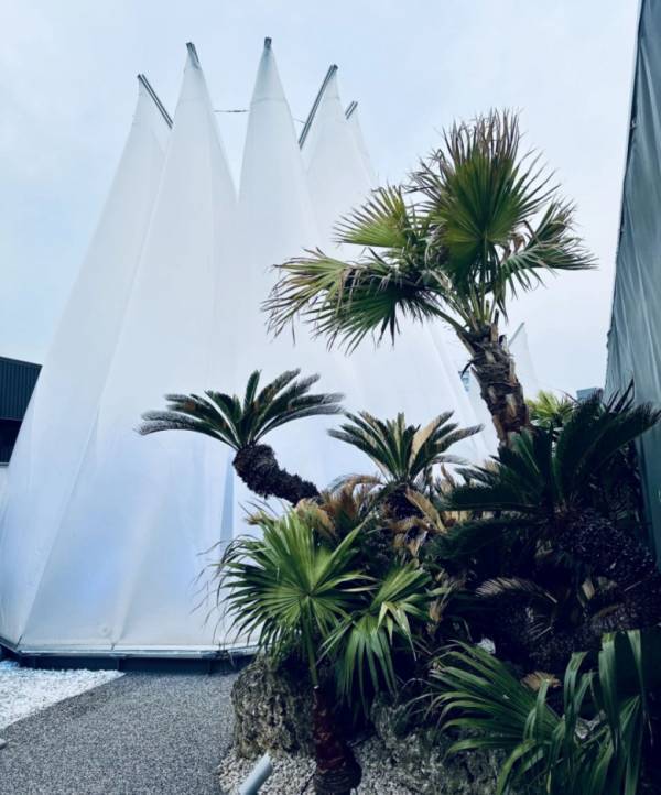 「一生に一度の体験を！」週3サウナーが思わず泣いた大阪関西万博『太陽のつぼみ』