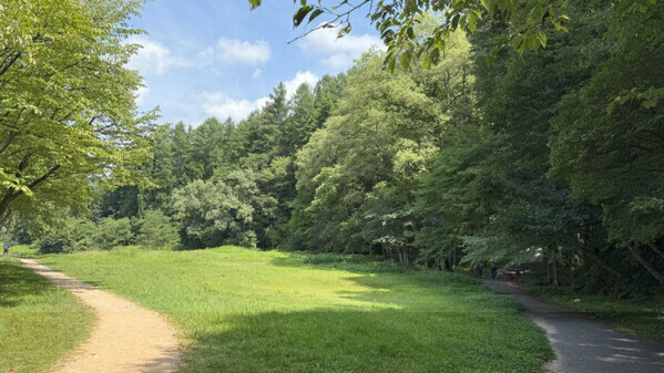 スリープツーリズムで実践するデジタルデトックス！【コートヤード・バイ・マリオット 白馬】の「寝る育旅」に行ってきました！