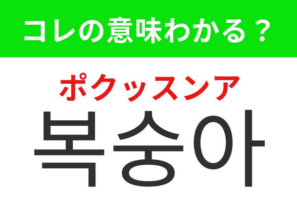 【韓国グルメ編】甘くてジューシーなピンクの果物！「복숭아（ポクッスンア）」の意味は？