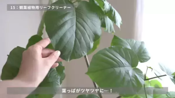 「バズりすぎて売切れ続出！」【無印良品】SNSで話題の神商品を紹介！収納・家事・美容グッズ＜2025最新＞