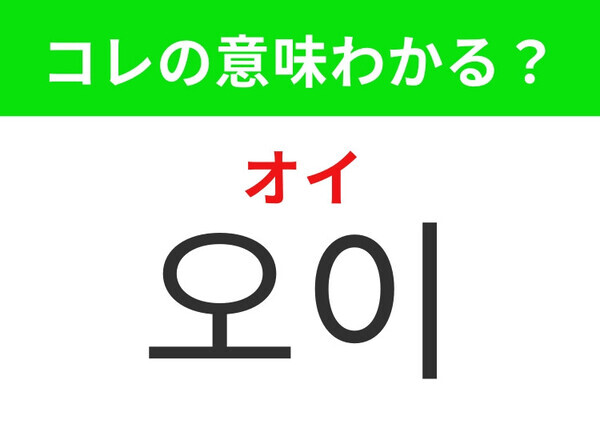 【韓国グルメ編】夏の料理やキムチに欠かせない緑野菜！「오이（オイ）」の意味は？