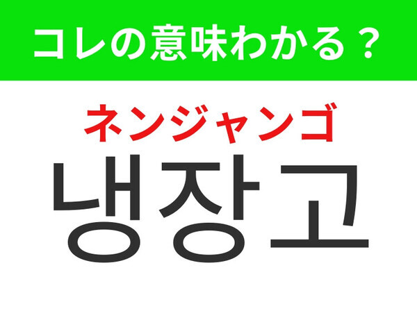 【韓国生活編】どの家庭にもある家電製品！「냉장고（ネンジャンゴ）」の意味は？
