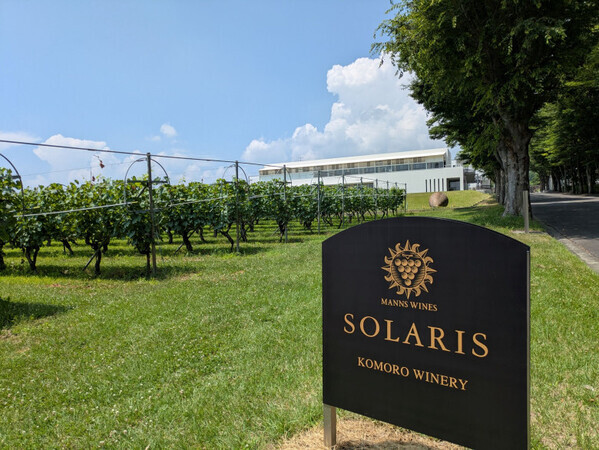 「長野の贅沢ぶどう！」『ナガノパープル』『クイーンルージュ』＆特別な日に飲みたい白ワイン♡