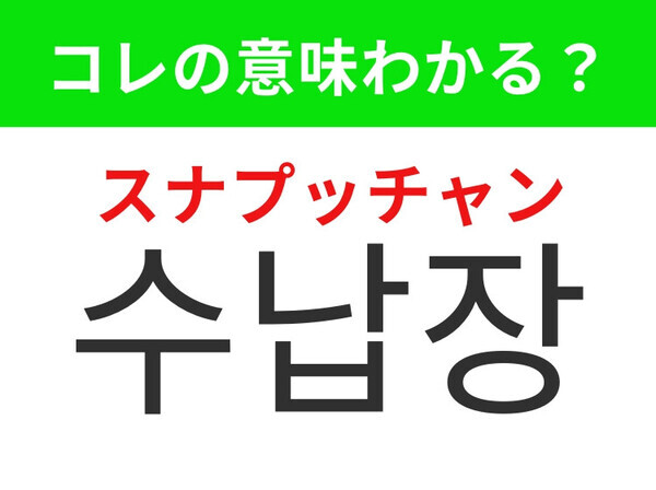【韓国生活編】どの家庭でも必要なあの家具！「수납장（スナプッチャン）」の意味は？