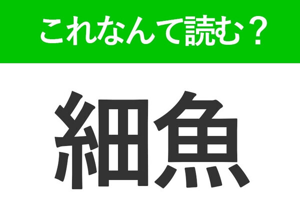 【細魚】はなんて読む？いい匂いがする高級魚です！