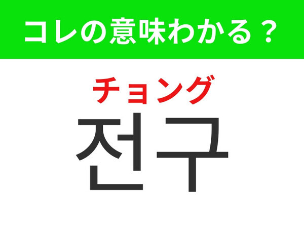 【韓国生活編】どの家庭にも必ずある生活必需品！「전구（チョング）」の意味は？