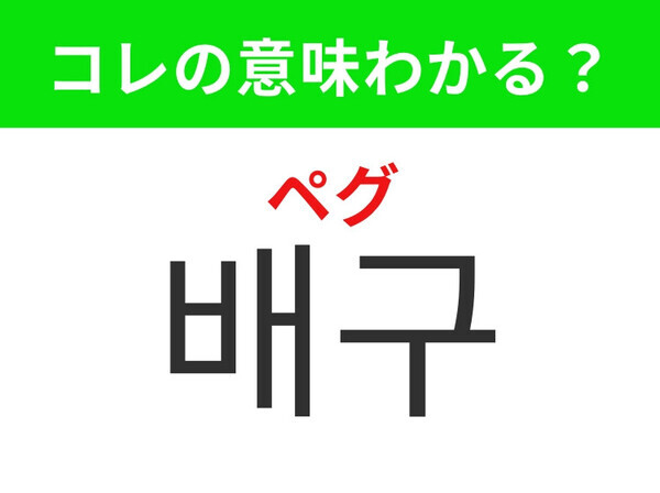 【韓国生活編】日本でも人気のあのスポーツ！「배구（ペグ）」の意味は？