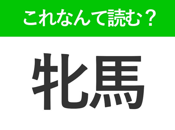 【牝馬】はなんて読む？「めま」「めうま」以外の読み方は