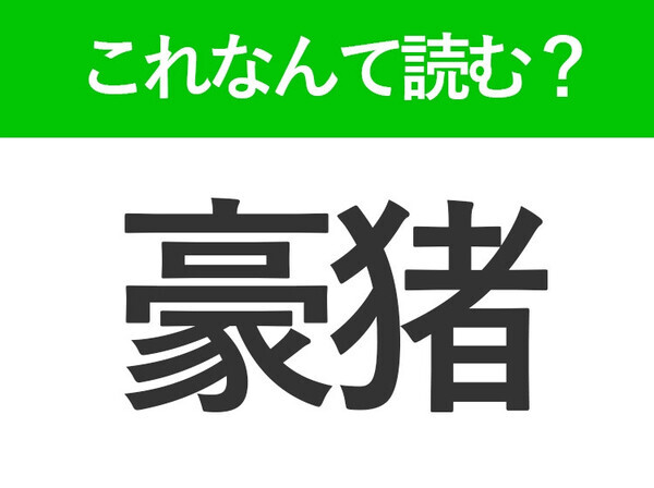 【豪猪】はなんて読む？トゲトゲで可愛い動物の名前