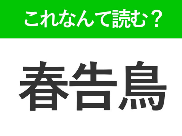 【春告鳥】はなんて読む？漢字の通り春に見かける鳥の名前です！
