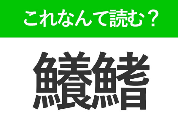 【鱶鰭】はなんて読む？魚の名前とは少し違う！