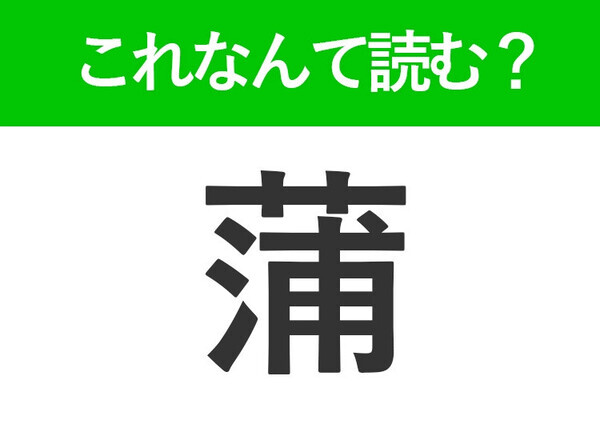 【蒲】はなんて読む？水辺に生えている植物の名前です