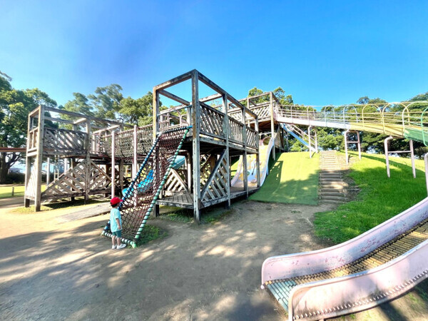 宮崎のど真ん中で季節と元気を満喫！「買って・食べて・遊んで」季節を感じる親子旅【九州ママ通信Vol.21】