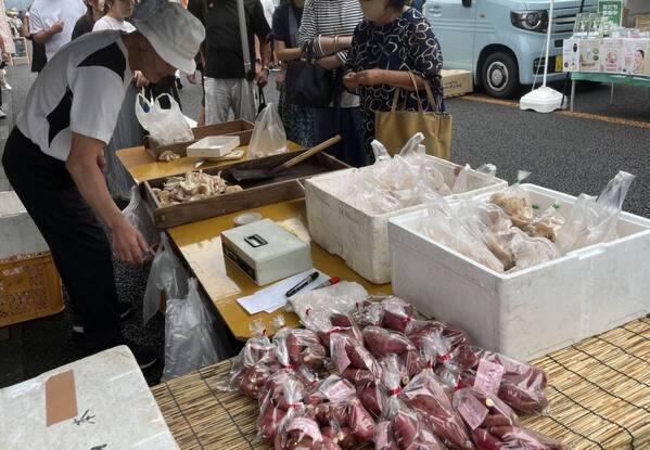 宮崎のど真ん中で季節と元気を満喫！「買って・食べて・遊んで」季節を感じる親子旅【九州ママ通信Vol.21】