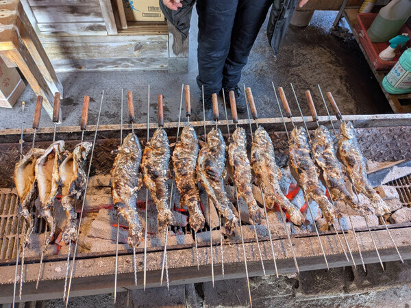 「おいしさがつまってます！」行楽の秋を長野・小諸市で楽しむ！【リンゴ狩り】と【ニジマス釣り】