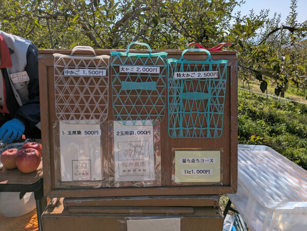 「おいしさがつまってます！」行楽の秋を長野・小諸市で楽しむ！【リンゴ狩り】と【ニジマス釣り】