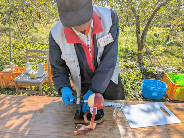 「おいしさがつまってます！」行楽の秋を長野・小諸市で楽しむ！【リンゴ狩り】と【ニジマス釣り】