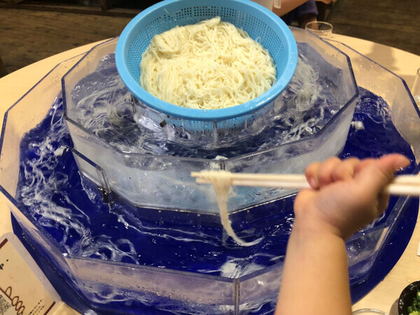 「コアラに会って、砂に包まれて♡」家族で楽しむ鹿児島・指宿の“日本初づくし”体験旅をご紹介！【九州ママ通信Vol.22】