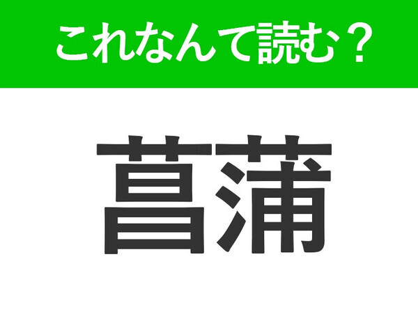 【菖蒲】はなんて読む？5月が見ごろの花の名前