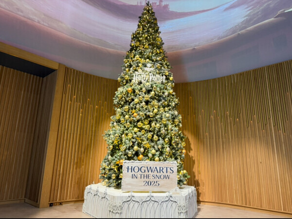 子どもも大人も心奪われる、“ホグワーツのクリスマス”を満喫できるスタジオツアーへ